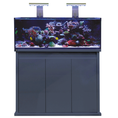 Aquariums
