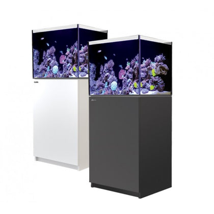 Red Sea Aquariums