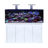 D-D Reef-Pro 1500 Aquarium - Octopus 8 aquatics Ltd