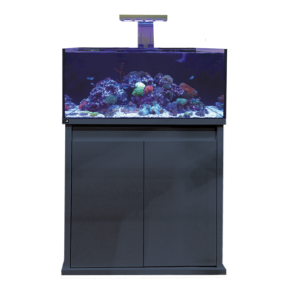 D-D Reef-Pro 900 Aquarium - Octopus 8 aquatics Ltd