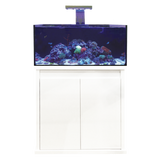 D-D Reef-Pro 900 Aquarium - Octopus 8 aquatics Ltd