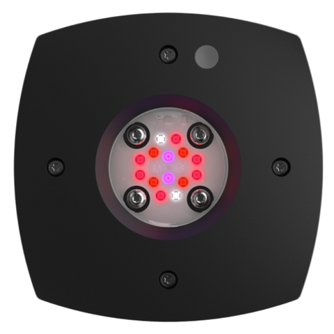 AI Prime fuge