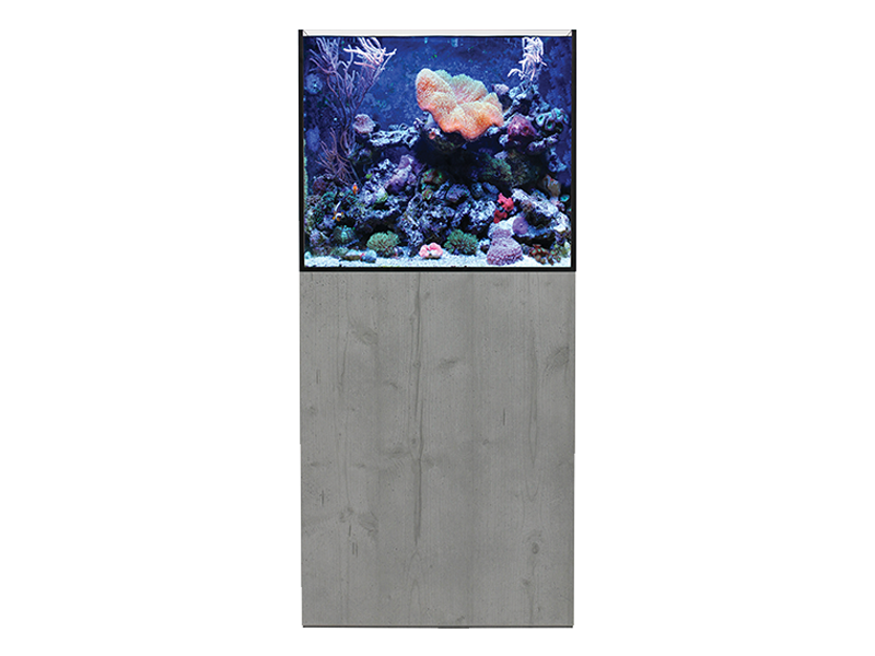 Marine aquarium best sale supplies near me