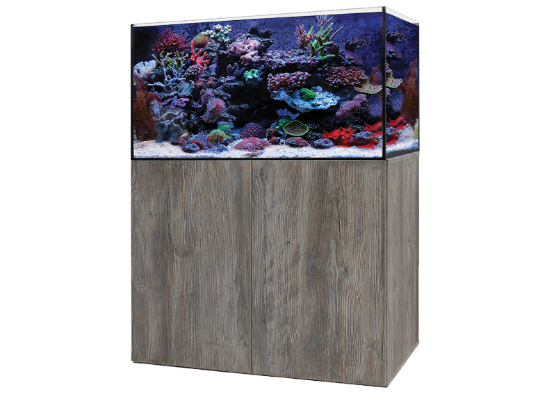 Marine aquarium 2024 store near me