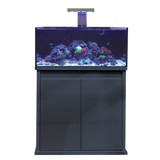D-D Reef-Pro 900 Aquarium - Octopus 8 aquatics Ltd